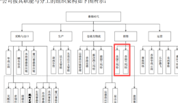 为什么赛维时代能做，不代表你能做：关于“0110+香港架构”的八问八答