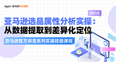 【亚马逊官方讲堂系列实操技能课程】亚马逊选品属性分析实操：从数据提取到差异化定位