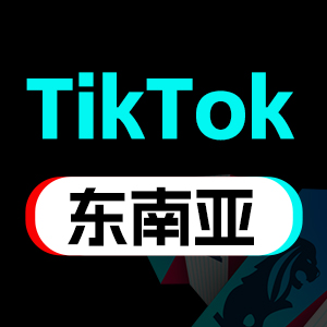 7.02TK东南亚峰会