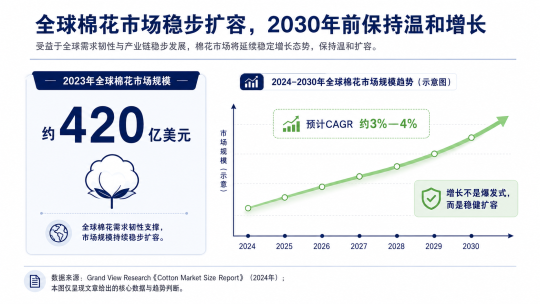 出海观察|基础款高端化，正在打开埃及棉服饰出海窗口