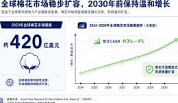出海观察|基础款高端化，正在打开埃及棉服饰出海窗口