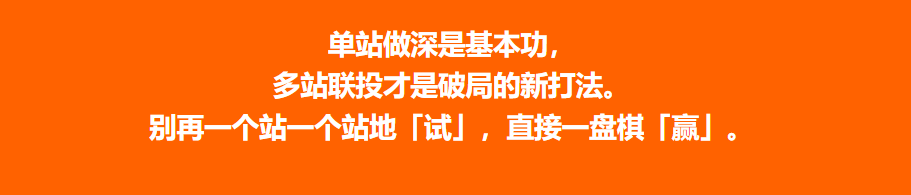 欧洲增长破局：热销品类站点组合与联投打法