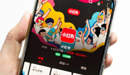 欧洲版“小红书”，不打价格战，直接挑品牌