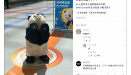 又有机器人品牌加入！速卖通Brand+成为AI硬件品牌出海首选