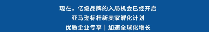 入驻亚马逊三年做到销售额破亿？标杆孵化计划把成功路径标准化