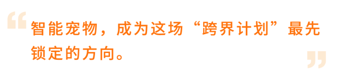 3人运营多站点，0跨境底子，他们把普通猫砂盆做成亚马逊类目Top5爆款