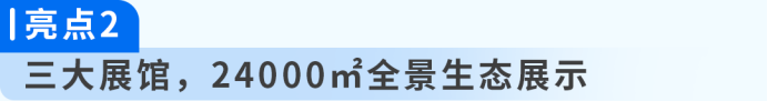 Q4备战线下场,亚马逊空降全国6城,获取旺季出海官方支持