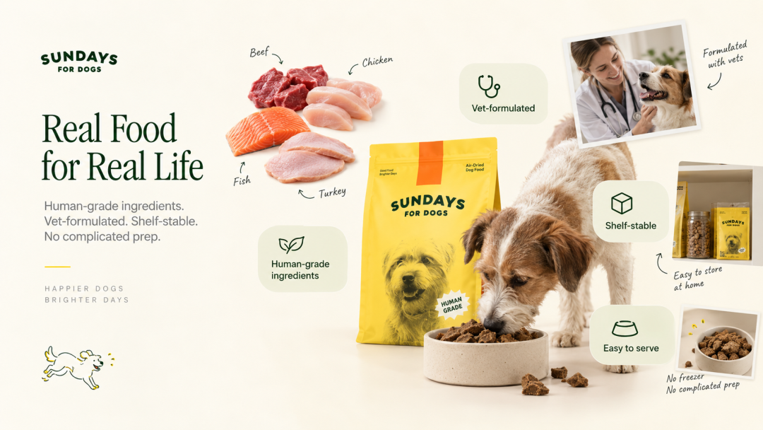 独立站优秀案例分析：Sundays for Dogs如何把高品质狗粮卖成订阅服务