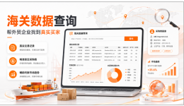 外贸获客怎么做？用海关数据查询工具精准锁定真实买家