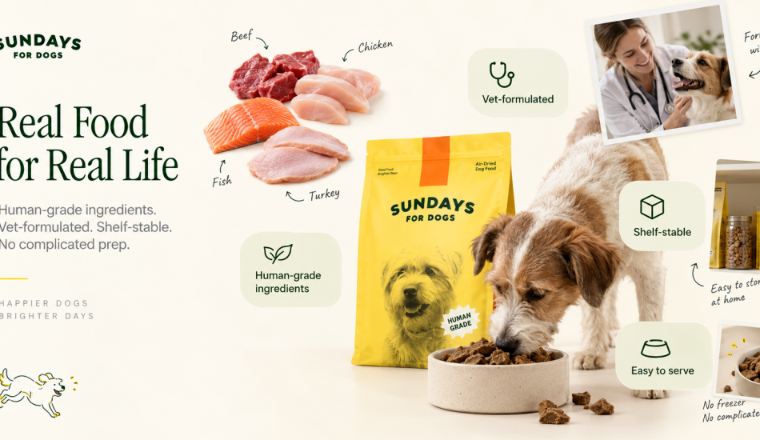 独立站优秀案例分析：Sundays for Dogs如何把高品质狗粮卖成订阅服务