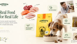 独立站优秀案例分析：Sundays for Dogs如何把高品质狗粮卖成订阅服务