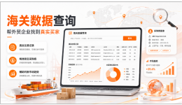 海关数据查询工具怎么用？三步做一份海外买家背调，看清真实采购能力