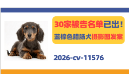 30家被告名单已出！Warren Photographic腊肠犬摄影图发案！