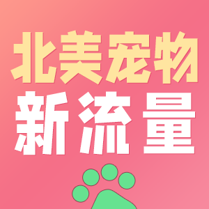 宠物研讨会