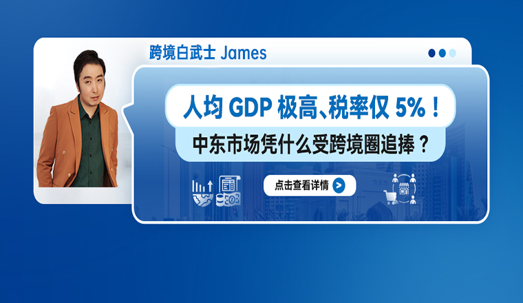 人均GDP极高、税率仅5%！中东VAT凭什么受跨境圈追捧？