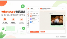 WhatsApp营销工具怎么用？六步走完从找客户到拿到回复的完整流程