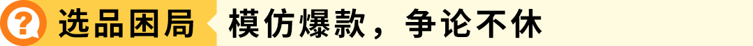 从3万到30万美元!这家工厂品牌如何突围4大困境,实现在亚马逊黑五销量暴涨9倍!