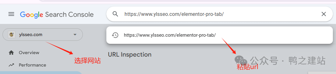 谷歌收录：从入门到精通，解决所有网站收录难题