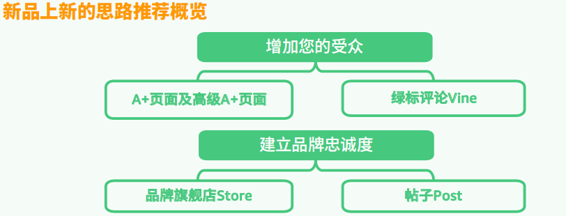 亚马逊新品冷启动教程⑦：如何有效使用品牌工具推广新品