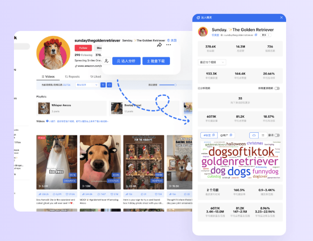 TikTok推爆亚马逊新玩法？这个免费神器帮你省一半时间！