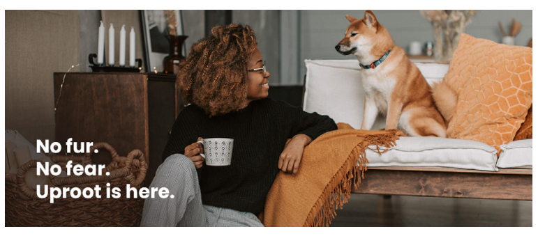 提升亚马逊页面转化率第一要义--高级A+