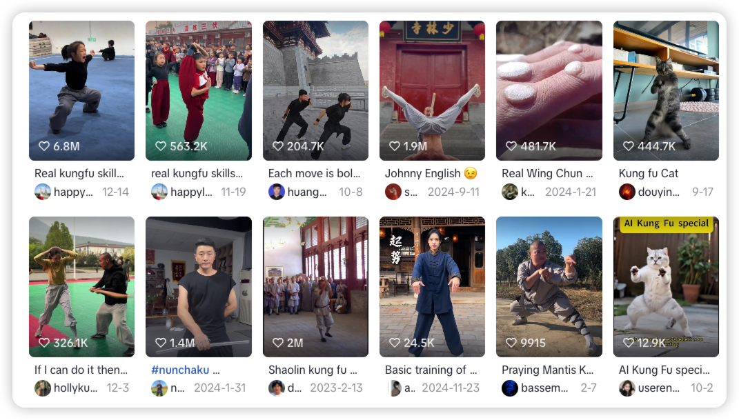 李连杰入驻TikTok，用“功夫生意”，低调赚美金