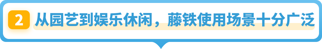 常被忽略却在亚马逊海外异常火爆！这个“冷门”品类商机藏不住了！