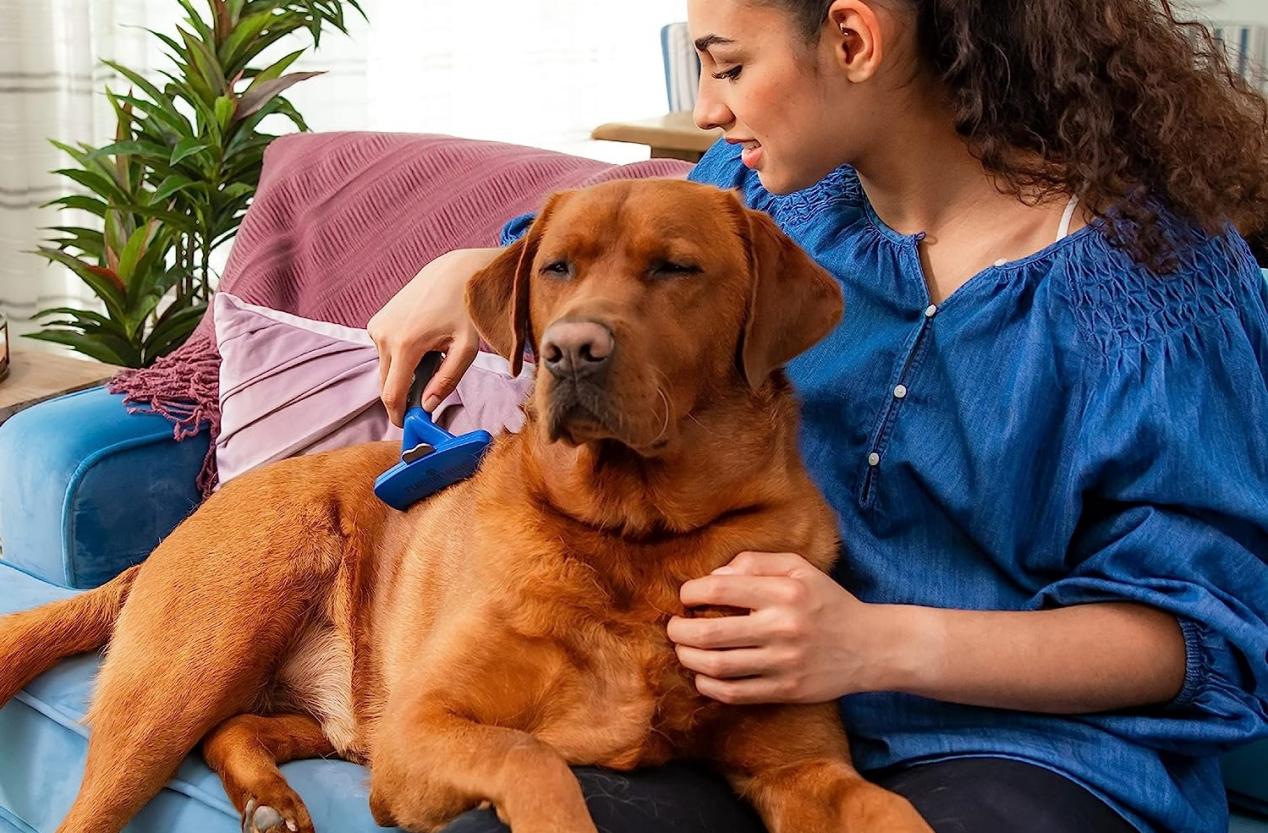 爆款FURminator 宠物脱毛工具发明专利维权!侵权风险极高!