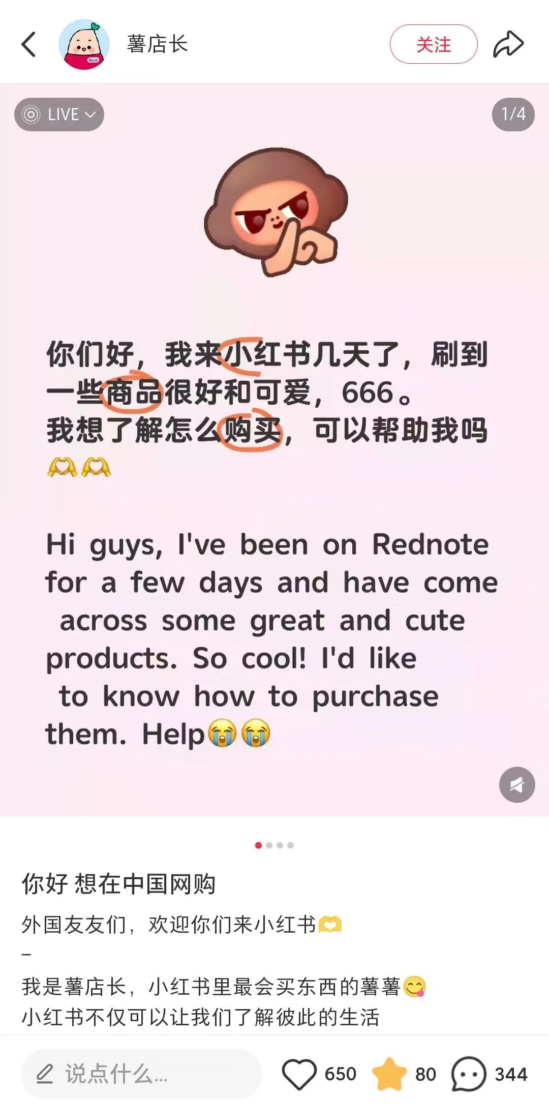 小红书撕开世界电商的第四个口子