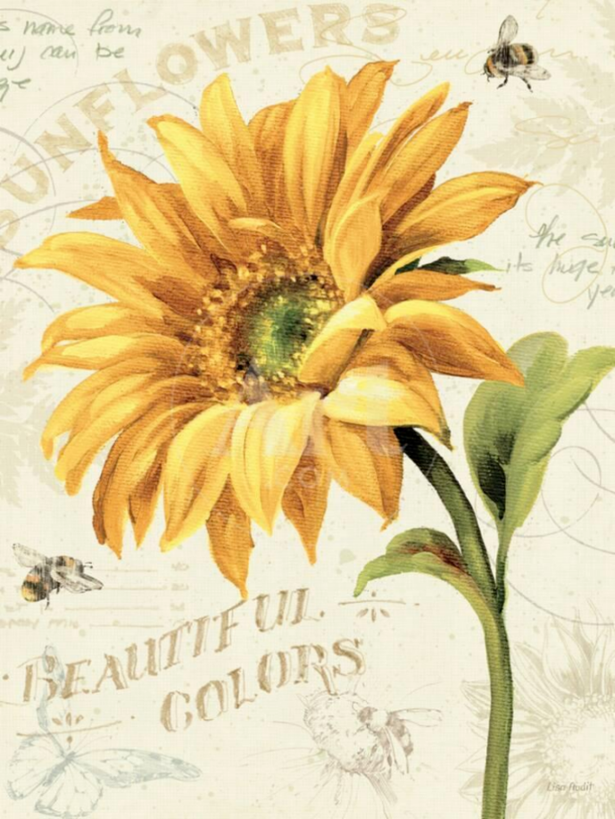 杀疯了!5个商标+17张图片冻结1767家店铺,listing有用到的立即下架!