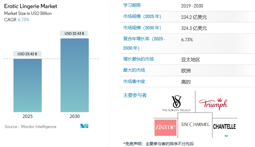 时尚与功能的融合：洞见全球情趣内衣市场商机