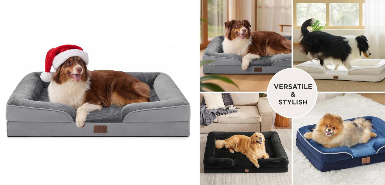 你选的宠物产品上架就被投诉！这三类爆品专利你踩雷了吗？！