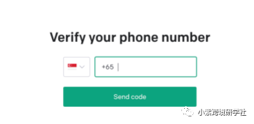ChatGPT怎么注册？小紫举手，这题我会！