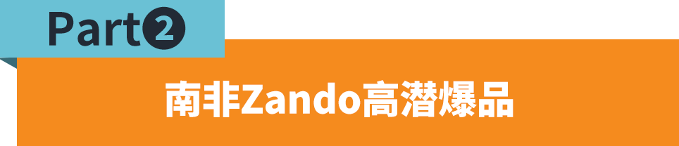把握南非市场时尚商机:消费者偏好与市场机遇