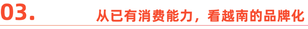 越南，成不了中国跨境商家的退路
