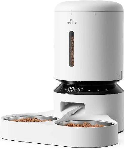 泽宝系，又闯出了一匹黑马