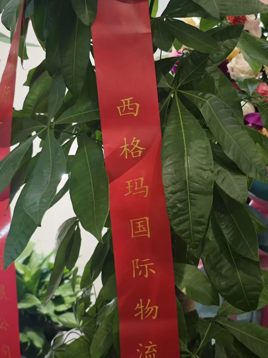 WallTech总部乔迁新址,开启未来新篇章