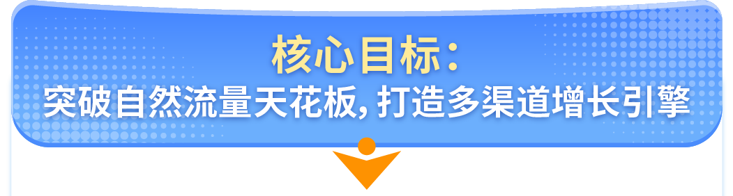 新品出单转化率提升30%！亚马逊新品冷启动高效实战指南首发！