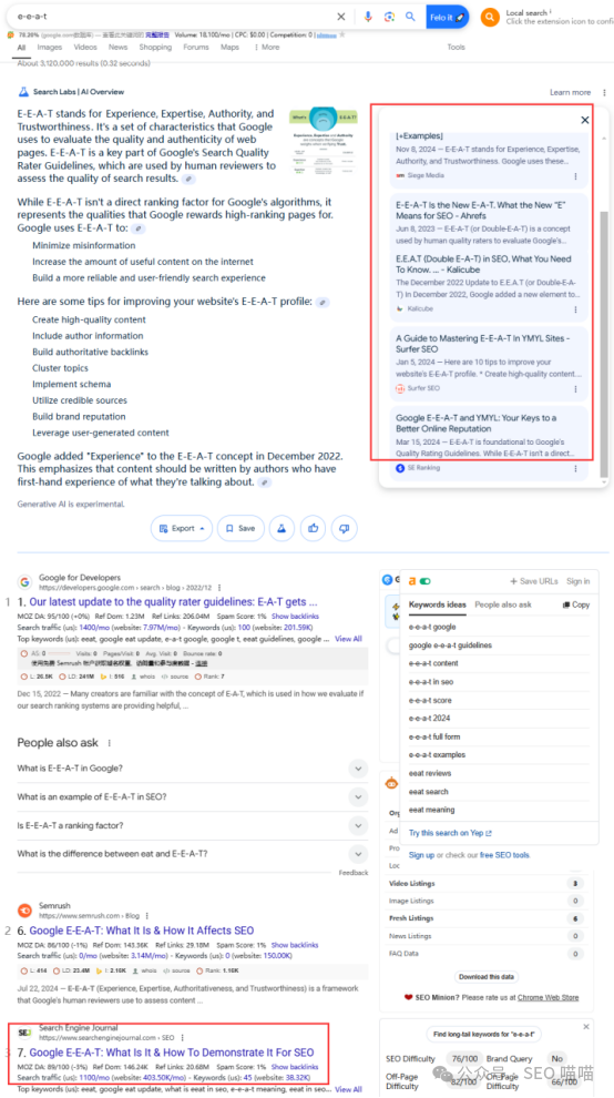 揭秘:你的网站在Google AI Overview中有排名吗?