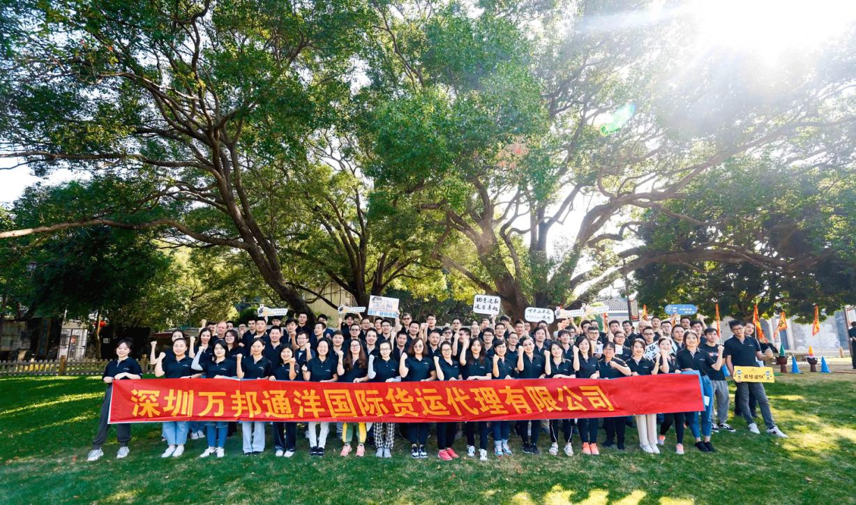 万邦通洋,助力中国卖家出海无忧