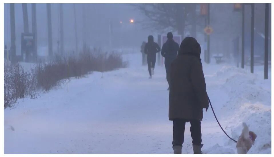 加拿大极端暴雪来袭，末端派送、干线运输或将全面停摆！