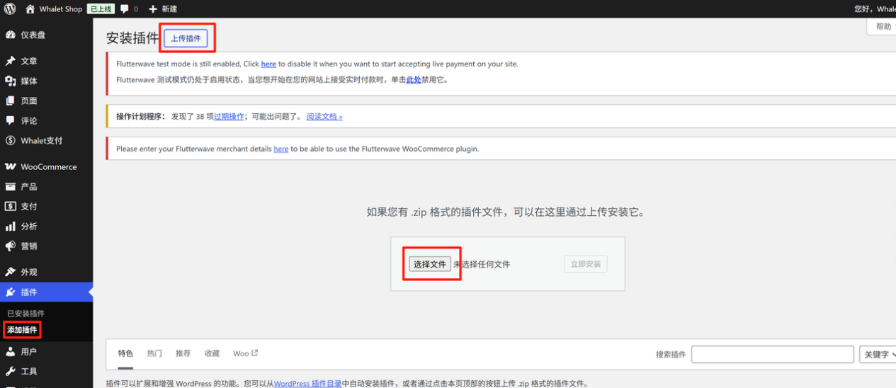 独立站用户必看！WordPress & Woocommerce如何接入易鲸收单插件