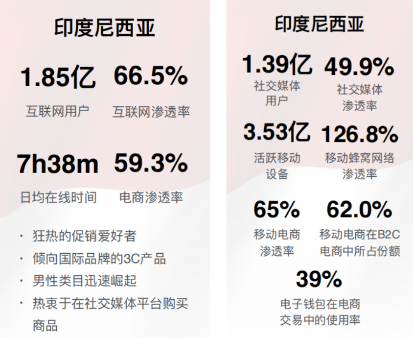 东南亚市场领头羊:印尼如何凭借一己之力成为跨境必争之地