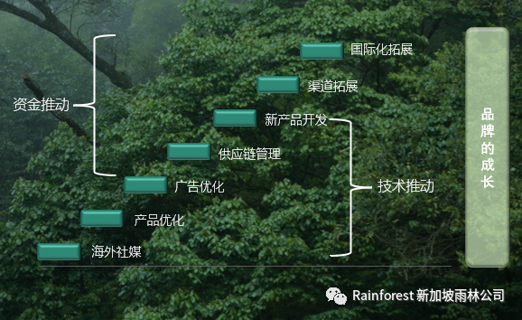 精心谋划品牌新开篇，雨林Rainforest帮卖家“跑赢”！