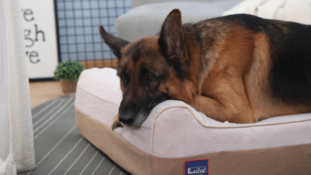 Payoneer派安盈2022全球创业家奖揭晓！