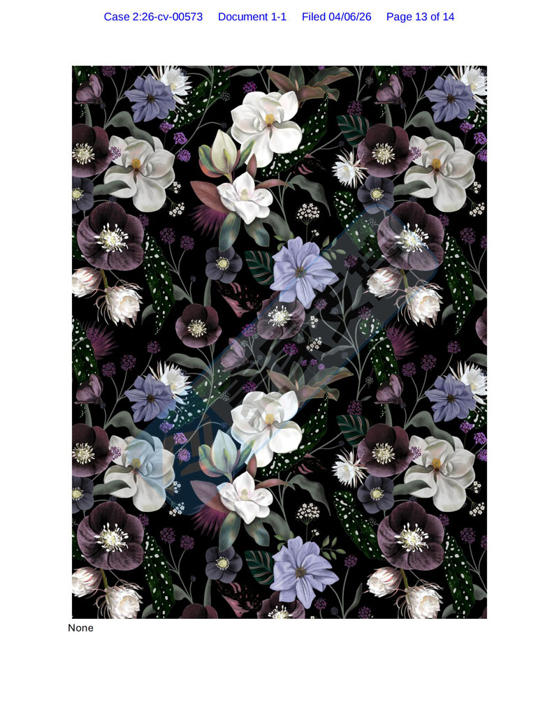 26-cv-00573,ANIS Illustration植物版权维权：182店面临TRO冻结危机