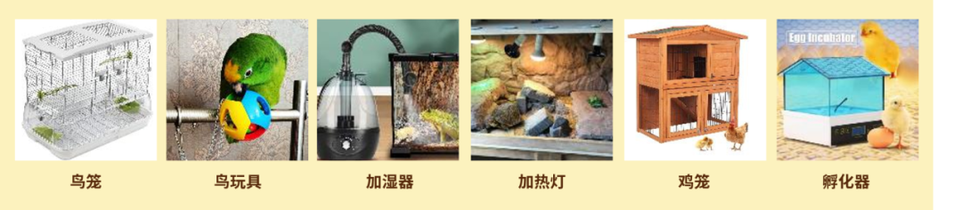 家居销售增速明星，中国卖家优势超级大！