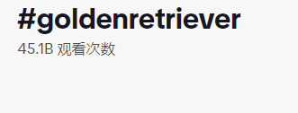 都是“铲屎官”，凭啥人家能卖到断货？4634亿观看，深度拆解TK宠物号的变现全过程