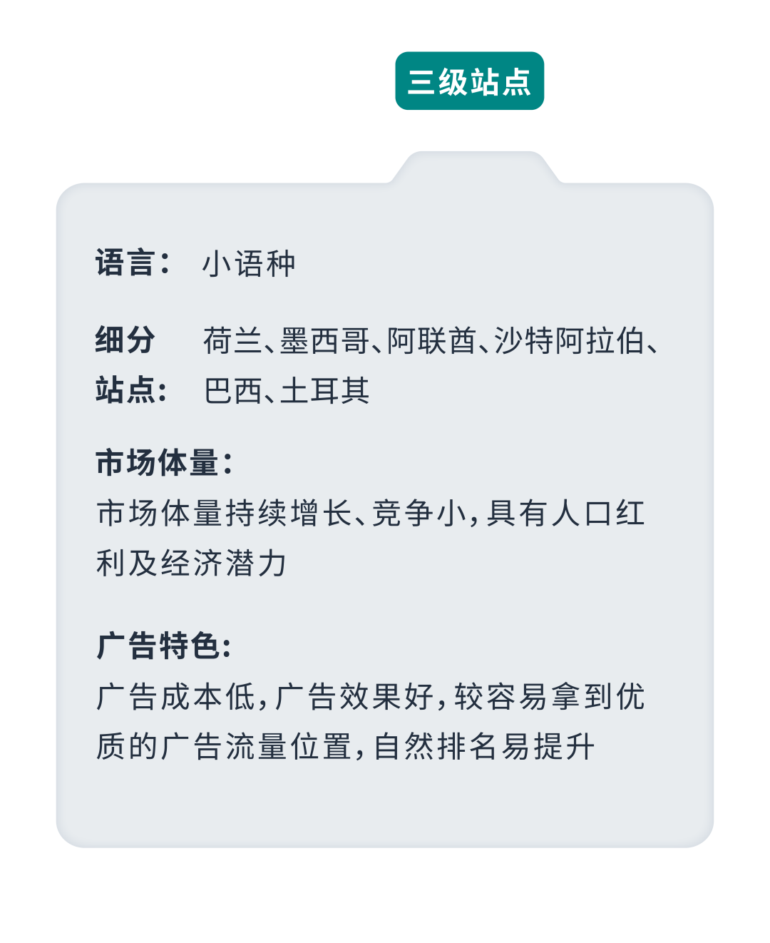 成本低高回报？亚马逊小语种站点起量秘籍效果意想不到！