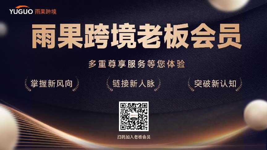 【老板会员精华】当面对跨境行业“新机会”时,企业战略要怎么做?